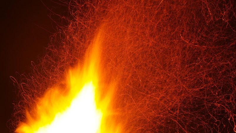 How Real Founder Stories Spark Startup Momentum