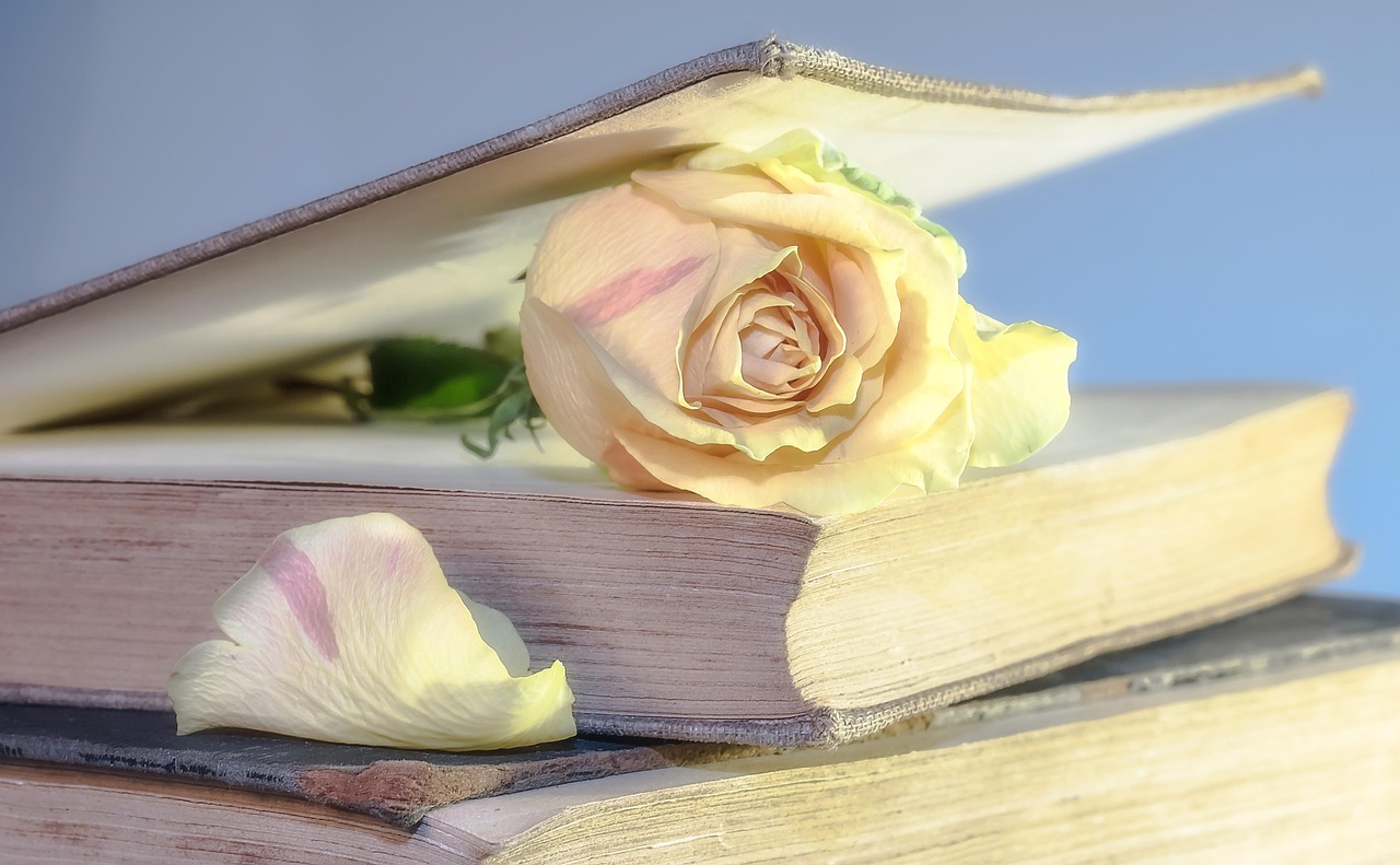 ChatGPT Mastery Book Review: Still Relevant in 2026?